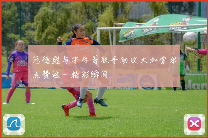 范德彪与字母哥联手助攻大加索尔点赞这一精彩瞬间